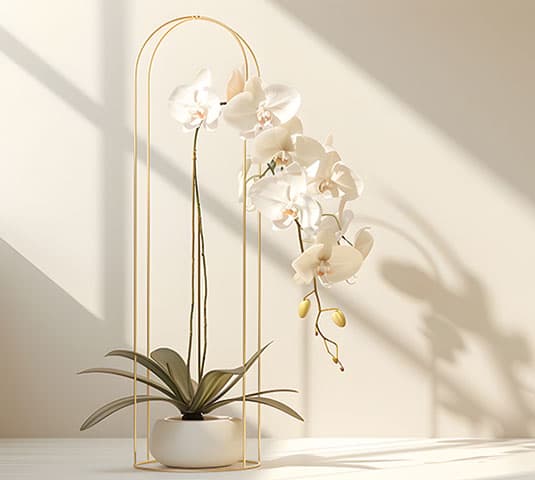 arredo design verde in casa orchidea